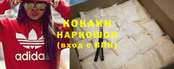 прущие грибы Нефтекумск