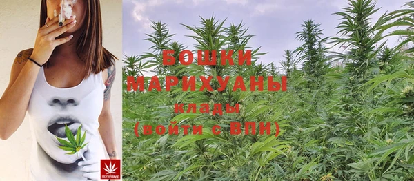 прущие грибы Нефтекумск