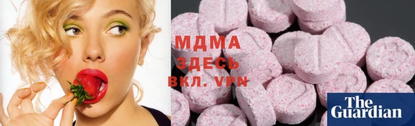 прущие грибы Нефтекумск