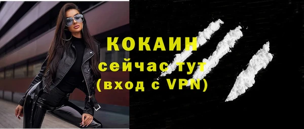 прущие грибы Нефтекумск
