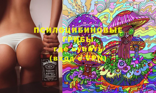 прущие грибы Нефтекумск