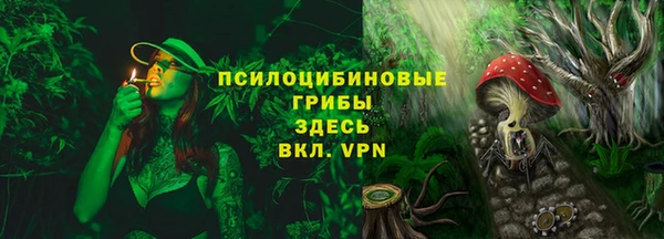 дурь Новокубанск