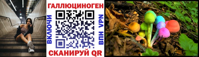 купить закладку Райчихинск Галлюциногенные грибы Psilocybe